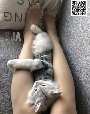 国产精哺乳期在线观看_高清电影完整版在线观看